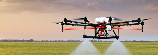 Drone Spraying Crops