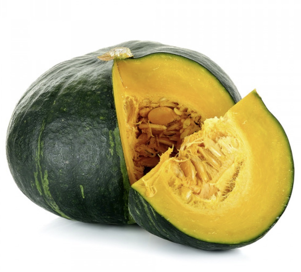 Major pest of Pumpkin